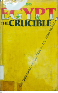 Image of Egypt The  Crucible  the unfinished revolution in the Arab world