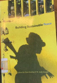 Image of Building sustainable peace