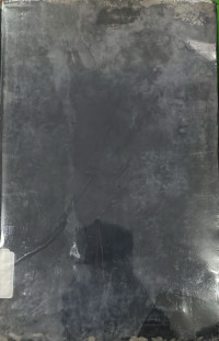 Image of Burma's constitution