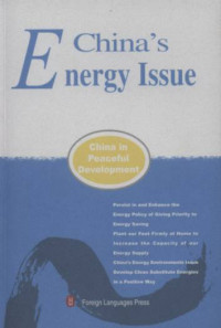 Image of China's energy issue