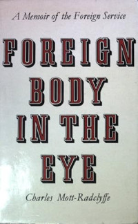 Image of Foreign body in the eye: A memoir of the foreign service