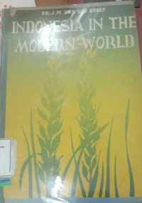 Image of Indonesia in the modern world