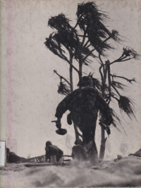 Image of Island fighting