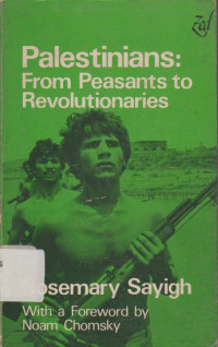 Image of Palestinians: From peasants to revolutionaries