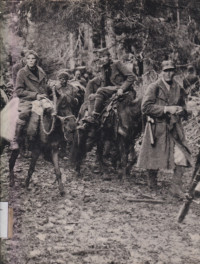 Image of Partisans and Guerrillas