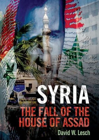Image of Syria: The fall of the house of Assad