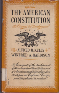 Image of The American constitution: Its Origins and development
