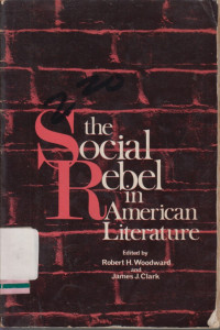 Image of The Social rebel in American literature