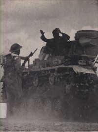 Image of The War in the desert