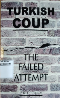 Image of Turkish coup: The failed attempt